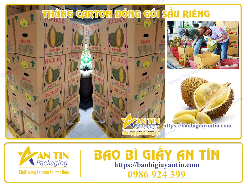 thung-giay-carton-dong-goi-sau-rieng-an-tin-thuan-an-1
