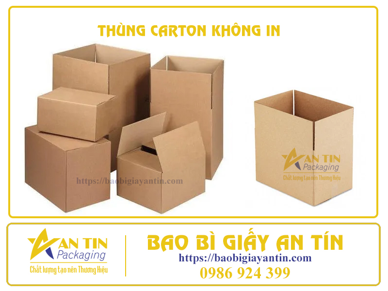 THÙNG CARTON KHÔNG IN – GIẢI PHÁP ĐÓNG GÓI HÀNG HÓA TIẾT KIỆM