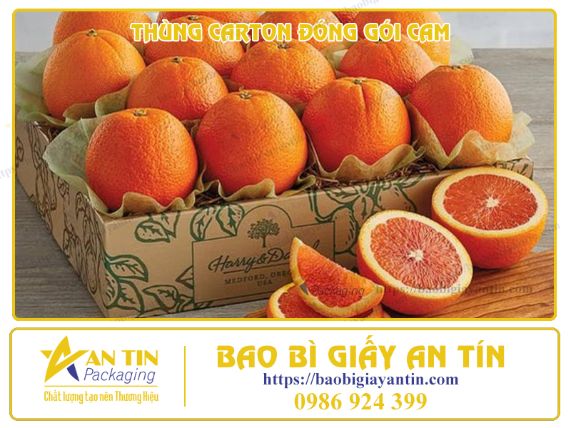 ĐIỂM QUA 5 ĐẶC TÍNH QUAN TRỌNG CỦA THÙNG CARTON ĐỰNG CAM