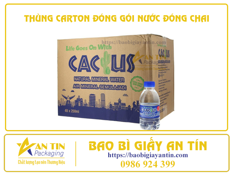 2 YẾU TỐ QUYẾT ĐỊNH ĐẾN TÍNH CHUYÊN NGHIỆP CỦA THÙNG CARTON ĐÓNG GÓI NƯỚC ĐÓNG CHAI