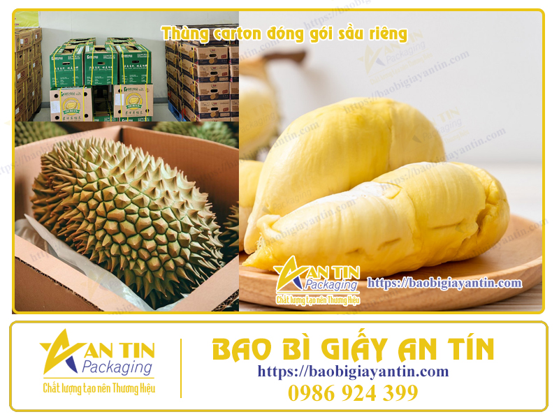 Thùng giấy đóng gói Sầu Riêng