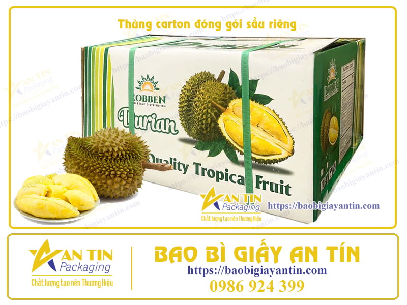 Thùng giấy đóng gói Sầu riêng An Tín
