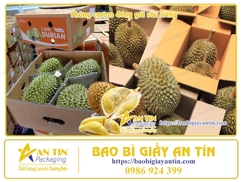 Thùng giấy đóng gói sầu riêng