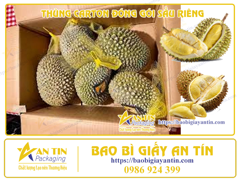KINH NGHIỆM LỰA CHỌN ĐƠN VỊ CUNG CẤP THÙNG CARTON ĐÓNG GÓI SẦU RIÊNG CHẤT LƯỢNG