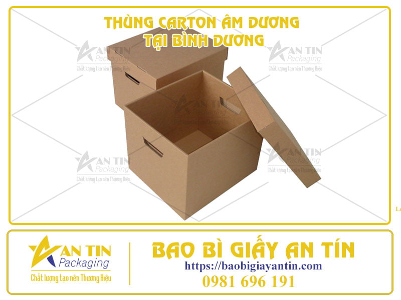 tiet-kiem-chi-phi-dong-goi-voi-bao-gia-thung-carton-am-duong-tai-binh-duong-01-1 Tiết Kiệm Chi Phí Đóng Gói Với Báo Giá Thùng Carton Âm Dương Tại Bình Dương