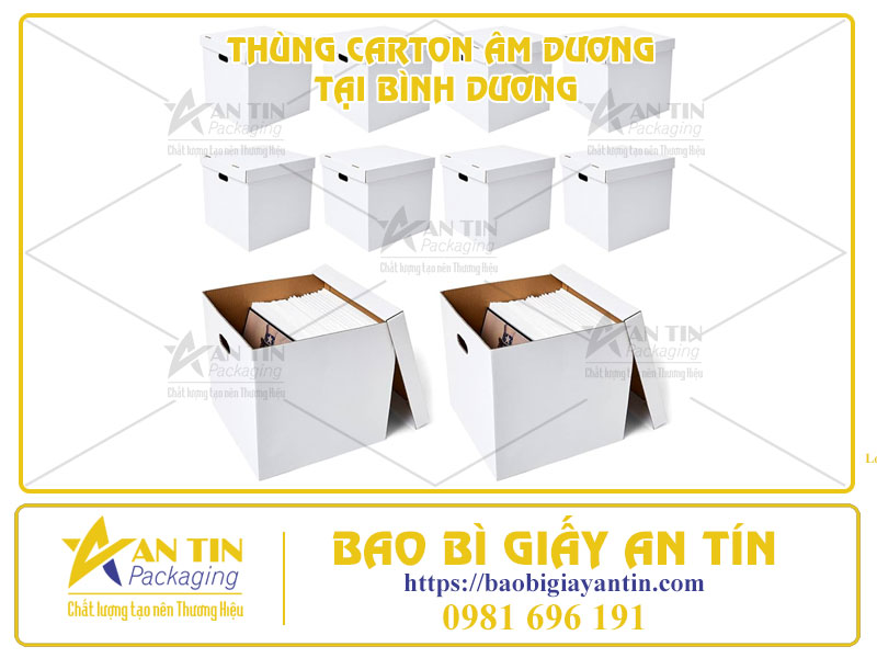 tiet-kiem-chi-phi-dong-goi-voi-bao-gia-thung-carton-am-duong-tai-binh-duong-02 Tiết Kiệm Chi Phí Đóng Gói Với Báo Giá Thùng Carton Âm Dương Tại Bình Dương