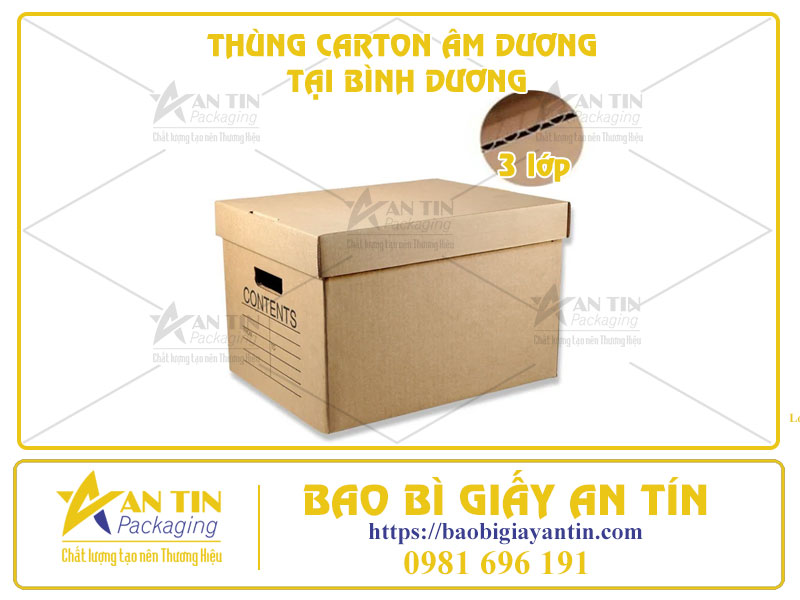 tiet-kiem-chi-phi-dong-goi-voi-bao-gia-thung-carton-am-duong-tai-binh-duong-03 Tiết Kiệm Chi Phí Đóng Gói Với Báo Giá Thùng Carton Âm Dương Tại Bình Dương