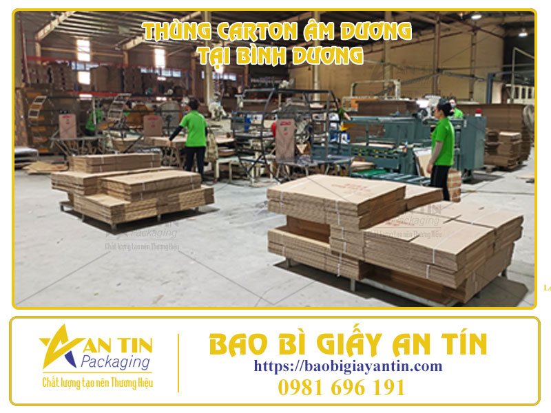 tiet-kiem-chi-phi-dong-goi-voi-bao-gia-thung-carton-am-duong-tai-binh-duong-04 Tiết Kiệm Chi Phí Đóng Gói Với Báo Giá Thùng Carton Âm Dương Tại Bình Dương