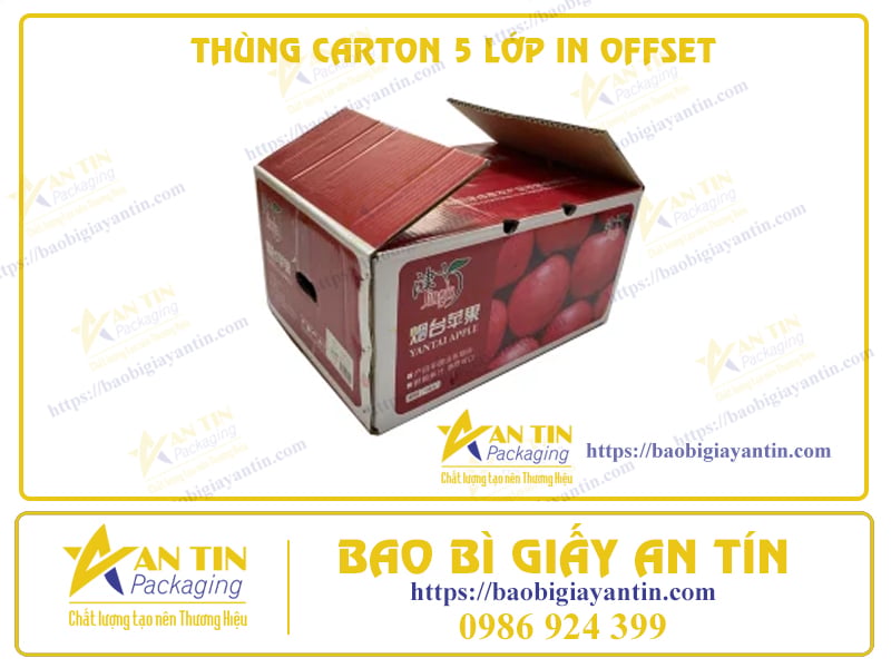 TINH TẾ VÀ CHUYÊN NGHIỆP: THÙNG CARTON 5 LỚP IN OFFSET CHẤT LƯỢNG HÀNG ĐẦU
