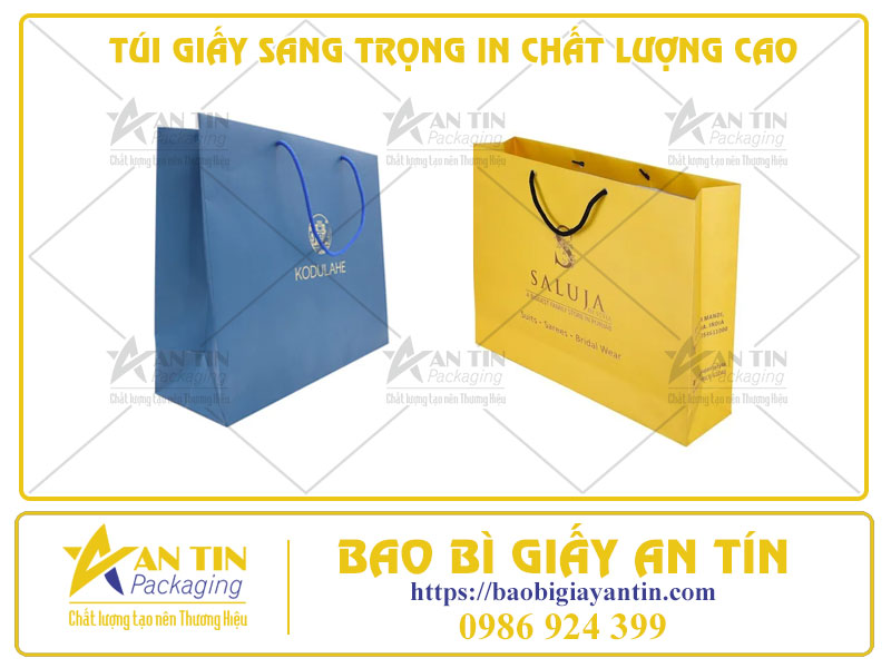 Túi Giấy Sang Trọng In Chất Lượng Cao - Sự Lựa Chọn Tinh Tế