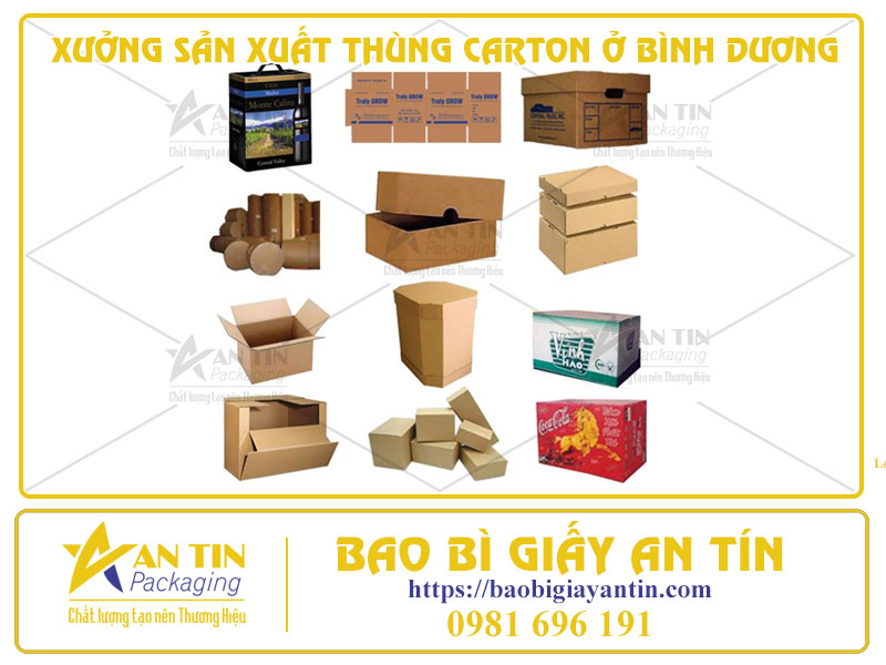 Xưởng Sản Xuất Thùng Carton Ở Bình Dương - Chất Lượng Đẳng Cấp, Giá Cả Hợp Lý