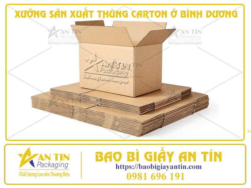 Xưởng Sản Xuất Thùng Carton Ở Bình Dương - Chất Lượng Đẳng Cấp, Giá Cả Hợp Lý