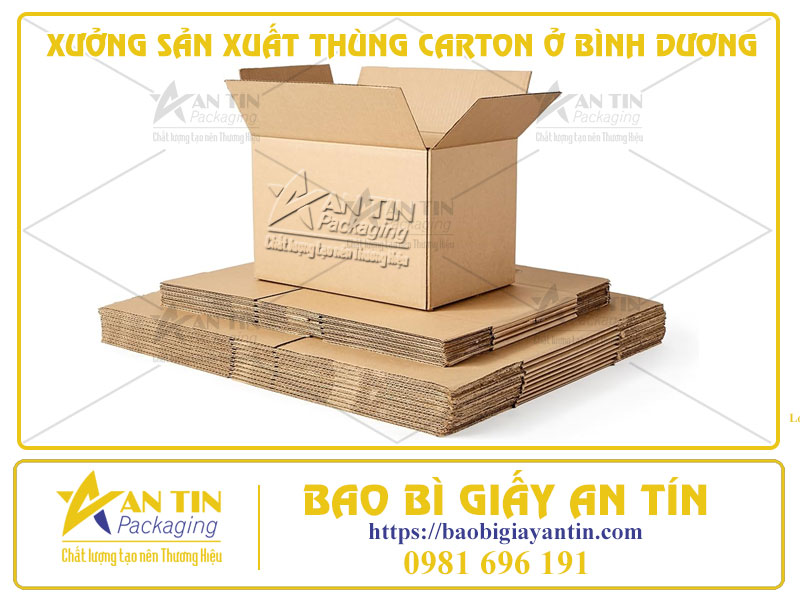 XƯỞNG SẢN XUẤT THÙNG CARTON Ở BÌNH DƯƠNG – CHẤT LƯỢNG ĐẲNG CẤP, GIÁ CẢ HỢP LÝ