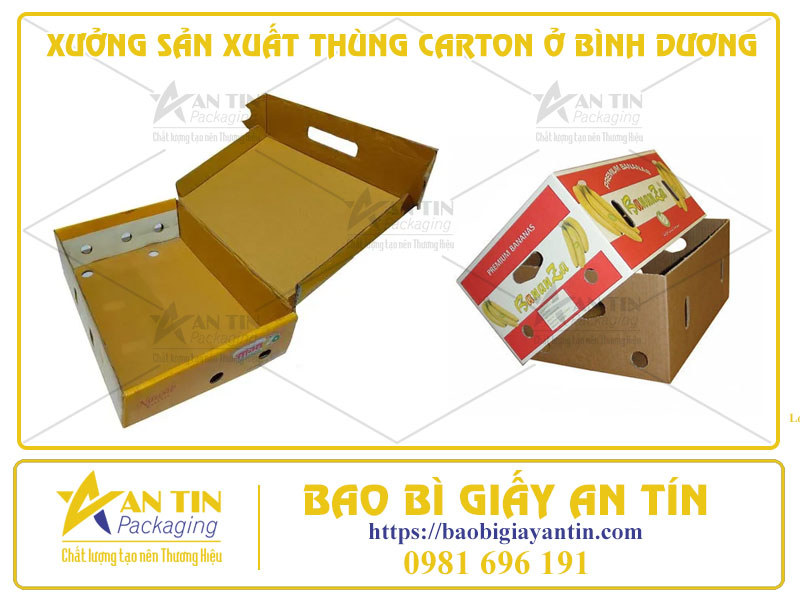 Xưởng Sản Xuất Thùng Carton Ở Bình Dương - Chất Lượng Đẳng Cấp, Giá Cả Hợp Lý