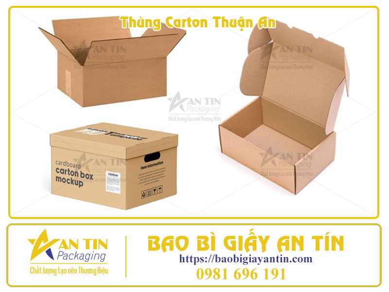 Xưởng Thùng Carton Thuận An Đối Tác Tin Cậy Cho Mọi Nhu Cầu Đóng Gói