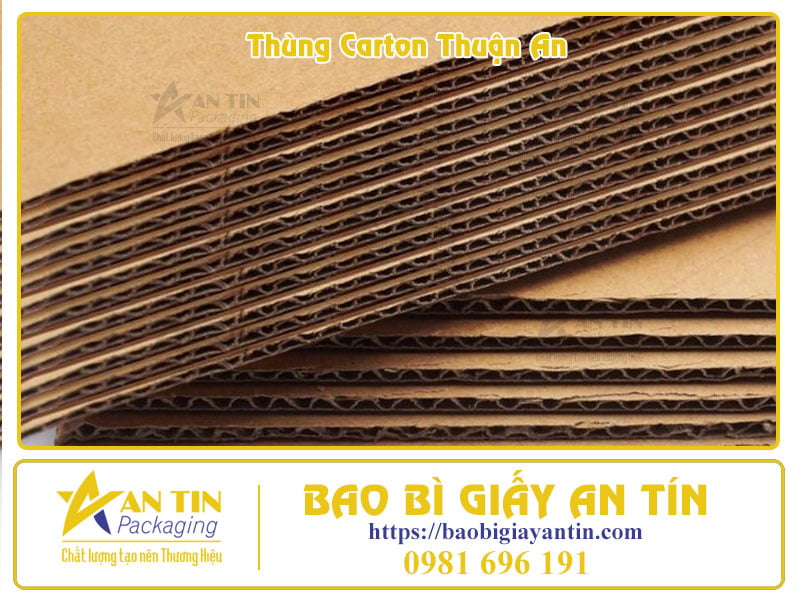 Xưởng Thùng Carton Thuận An Đối Tác Tin Cậy Cho Mọi Nhu Cầu Đóng Gói Xưởng Thùng Carton Thuận An Đối Tác Tin Cậy Cho Mọi Nhu Cầu Đóng Gói